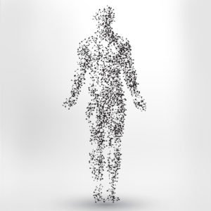 Módulo 2: El Ser Humano